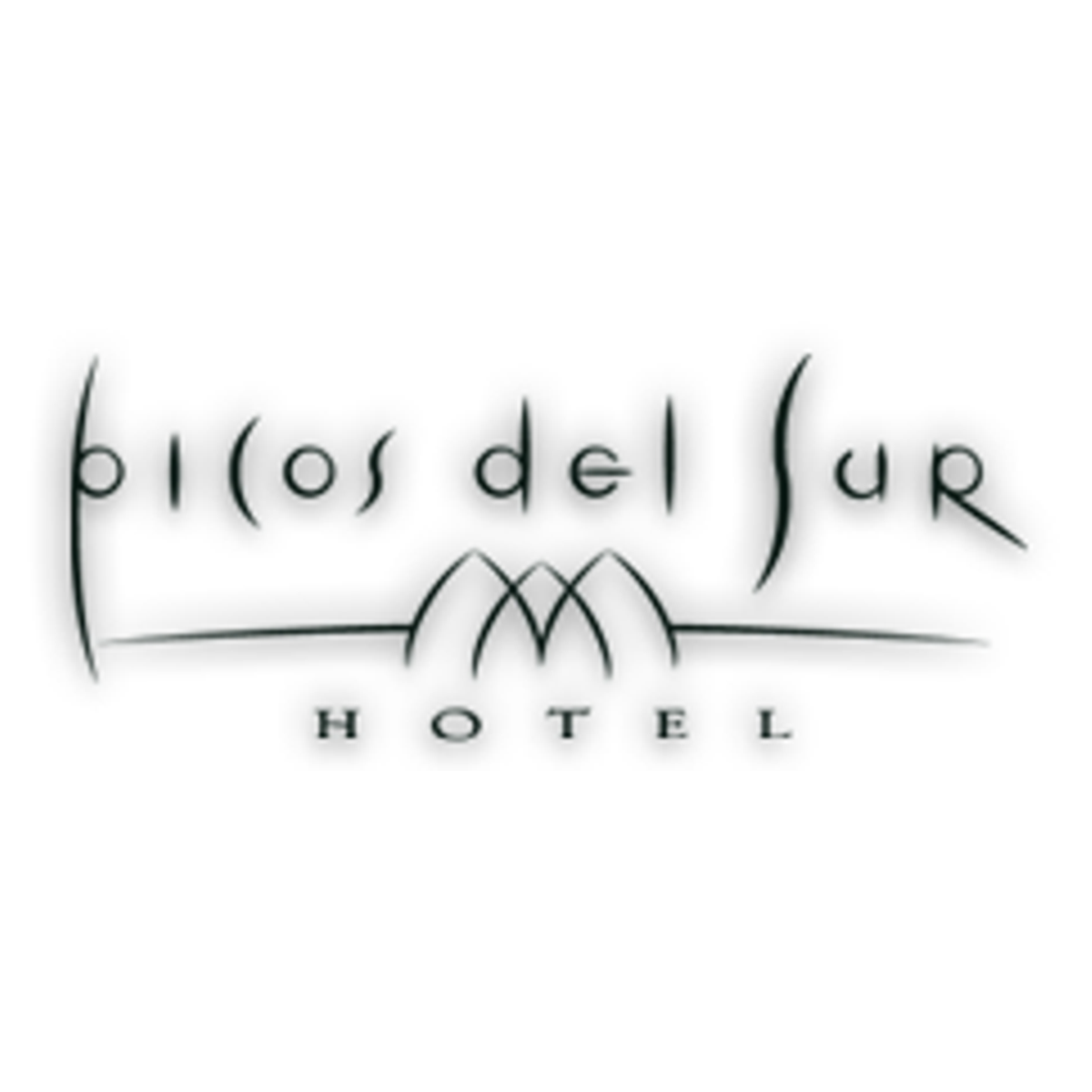 Hotel Picos del Sur
